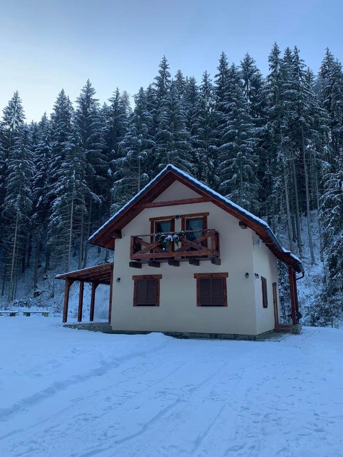 Chata Mosnica Lazisko Exteriér fotografie