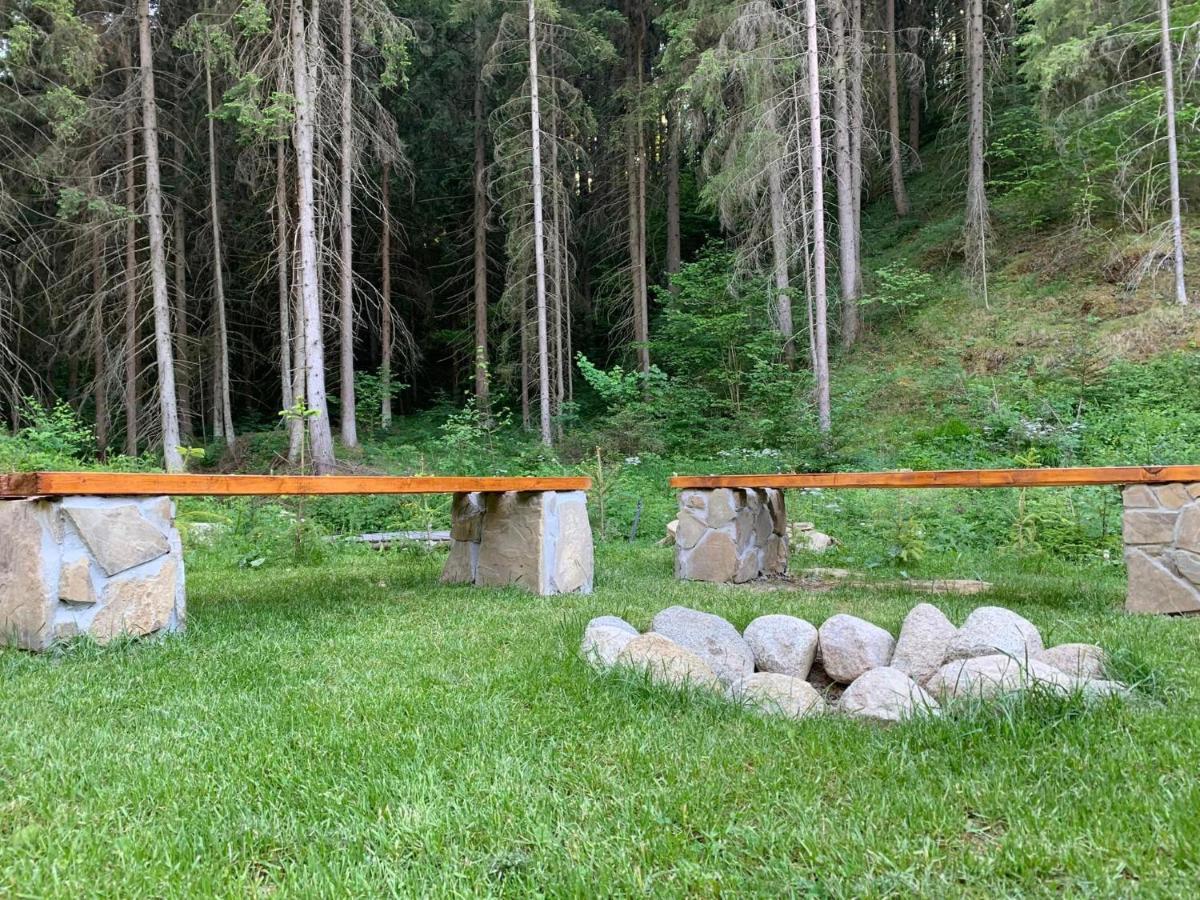Chata Mosnica Lazisko Exteriér fotografie